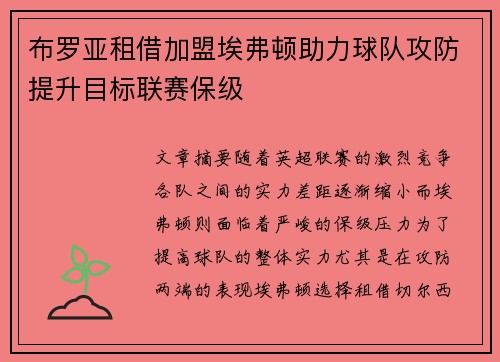 布罗亚租借加盟埃弗顿助力球队攻防提升目标联赛保级 布罗亚租借加盟埃弗顿助力球队攻防提升目标联赛保级